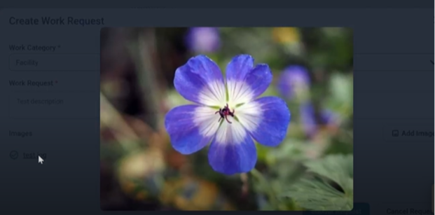Review image